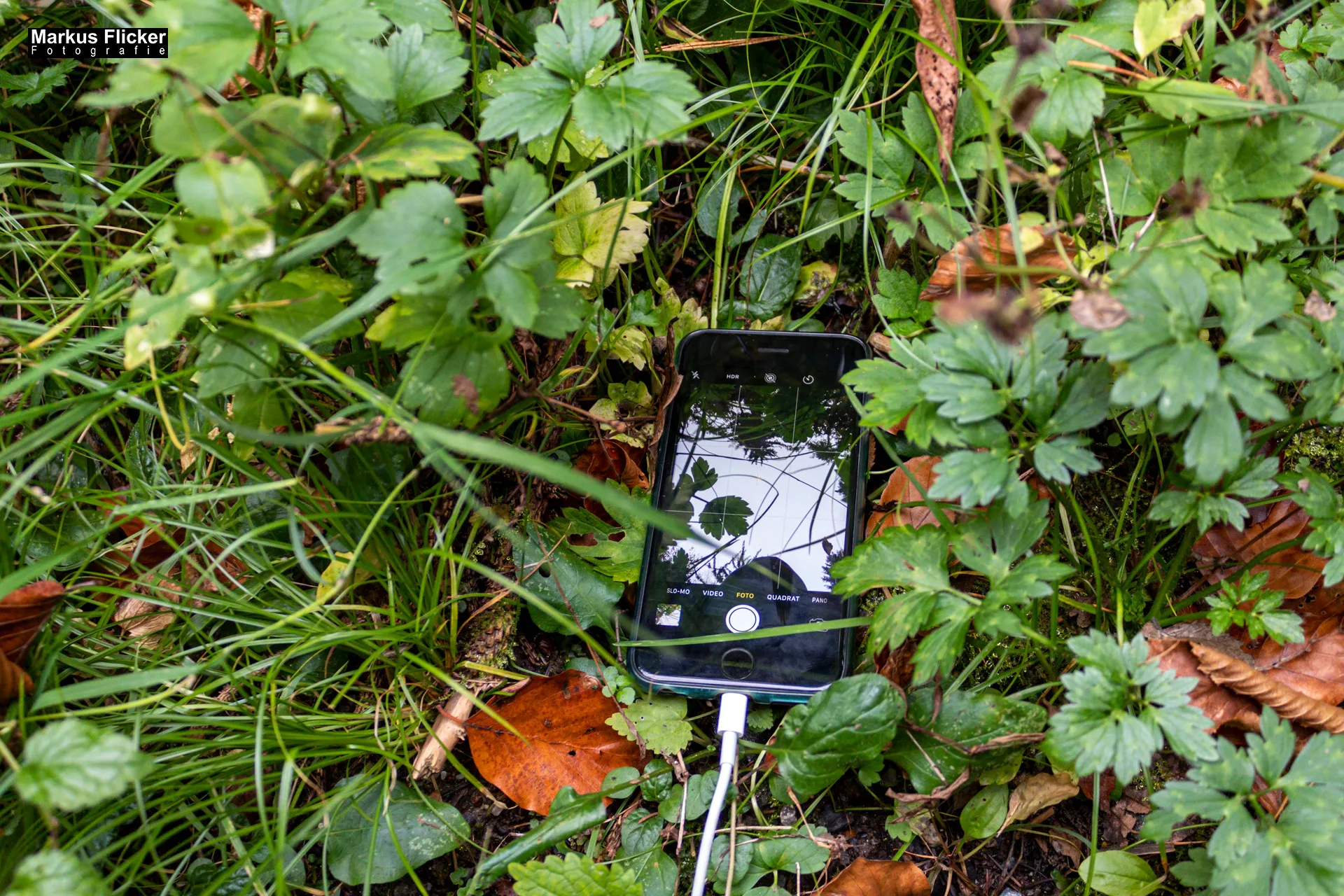 Herbst Fotospaziergang bei Nebel im Wald an der Raab in der Steiermark im Wald Teil 1 inkl. Fototipps mit dem Smartphone. Fotografieren und Filmen mit dem Smartphone: Bessere Fotos und Videos mit dem Handy für Freizeit, Hobby und Business