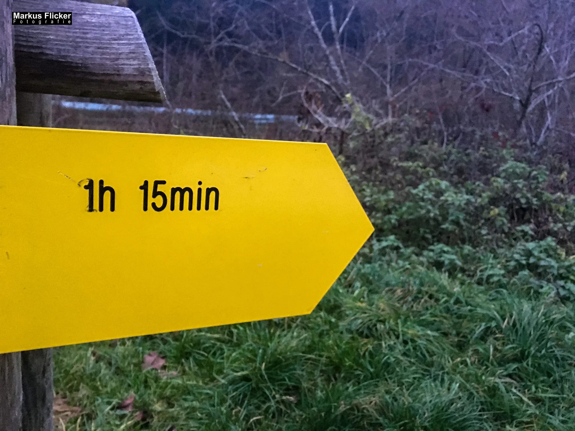 Herbst Fotospaziergang bei Nebel im Wald Raabklamm Raab Steiermark