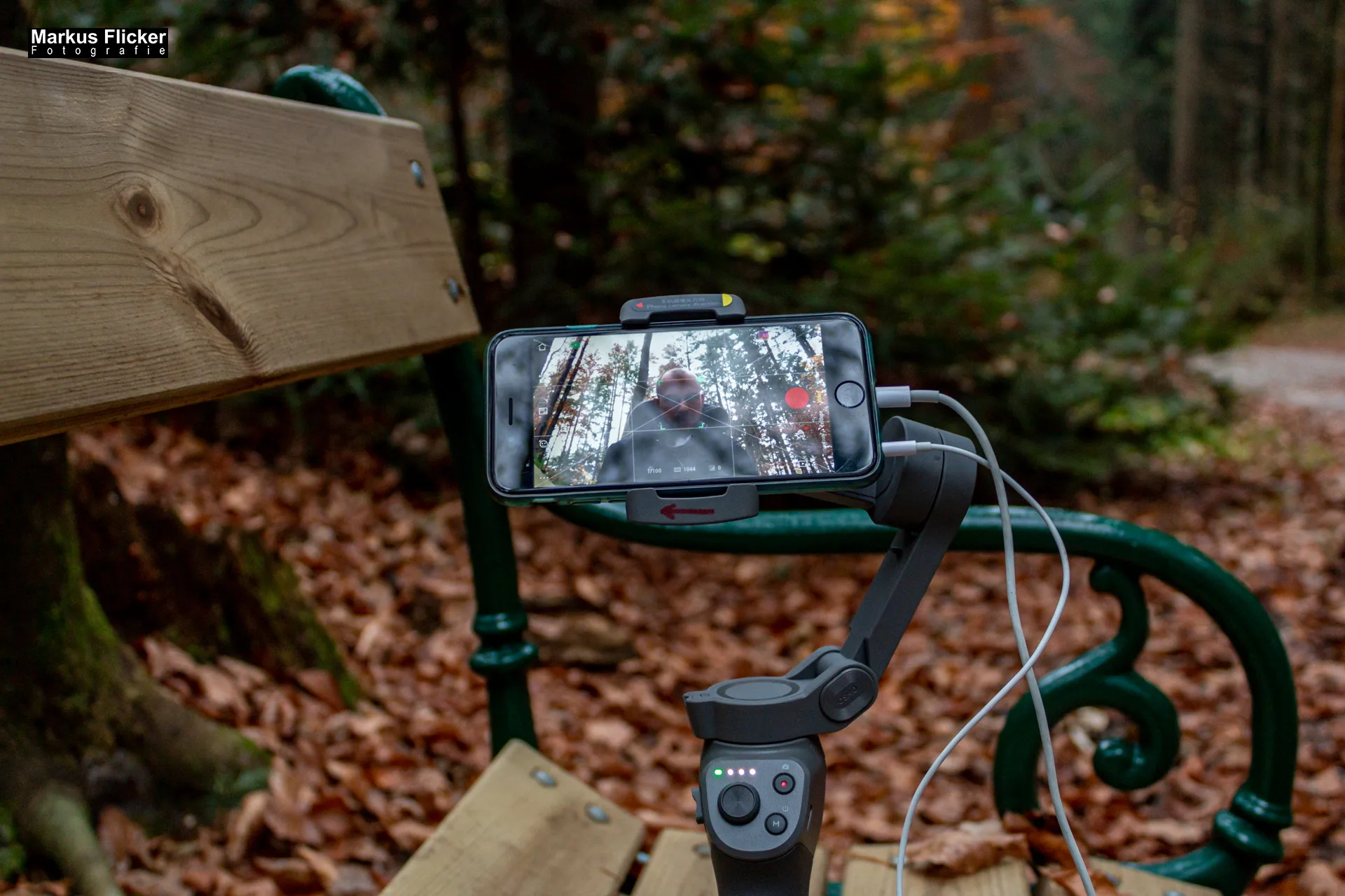 Herbst Fotospaziergang bei Nebel im Wald an der Raab in der Steiermark im Wald Teil 1 inkl. Fototipps mit dem Smartphone. Fotografieren und Filmen mit dem Smartphone: Bessere Fotos und Videos mit dem Handy für Freizeit, Hobby und Business