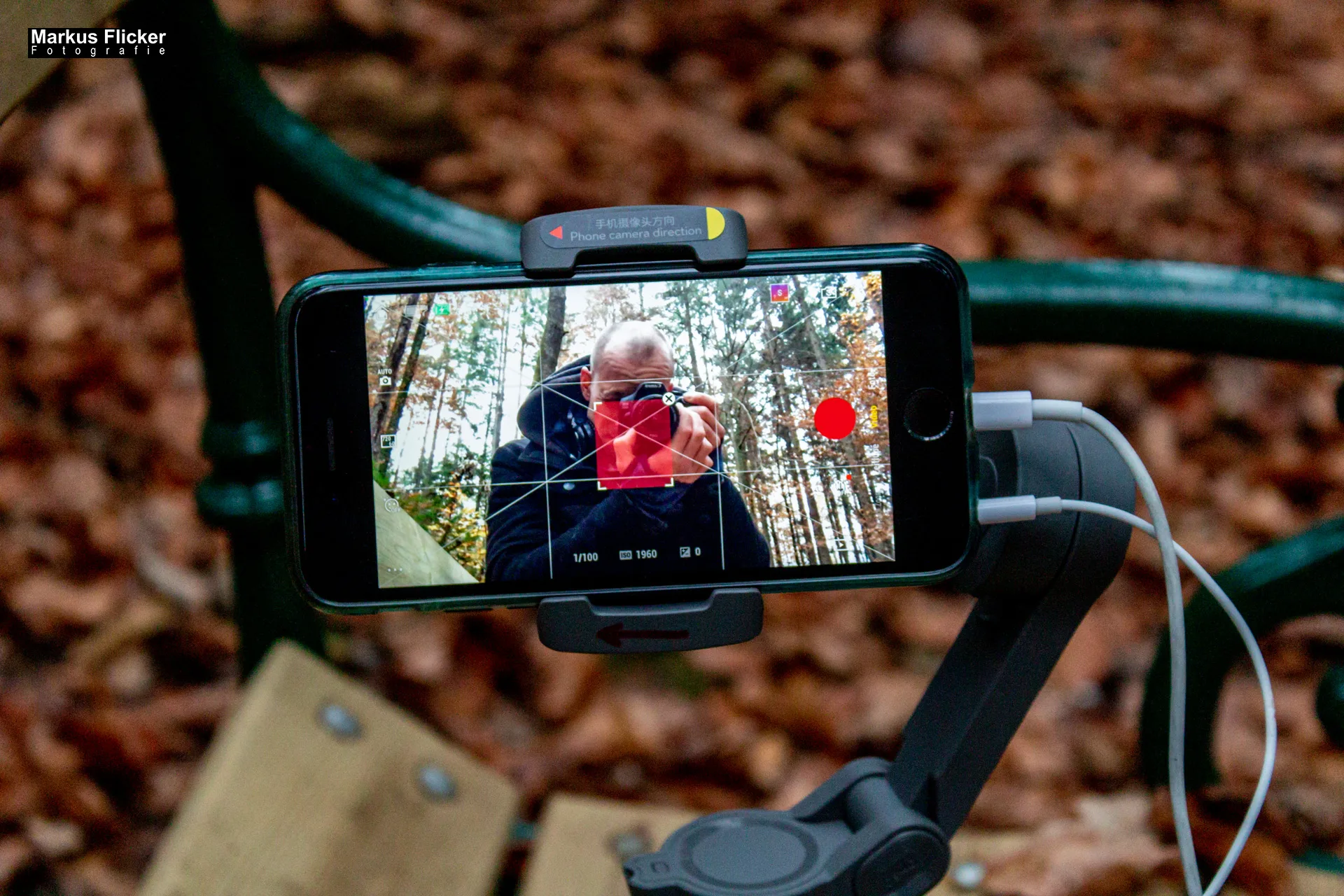 Herbst Fotospaziergang bei Nebel im Wald an der Raab in der Steiermark im Wald Teil 1 inkl. Fototipps mit dem Smartphone. Fotografieren und Filmen mit dem Smartphone: Bessere Fotos und Videos mit dem Handy für Freizeit, Hobby und Business