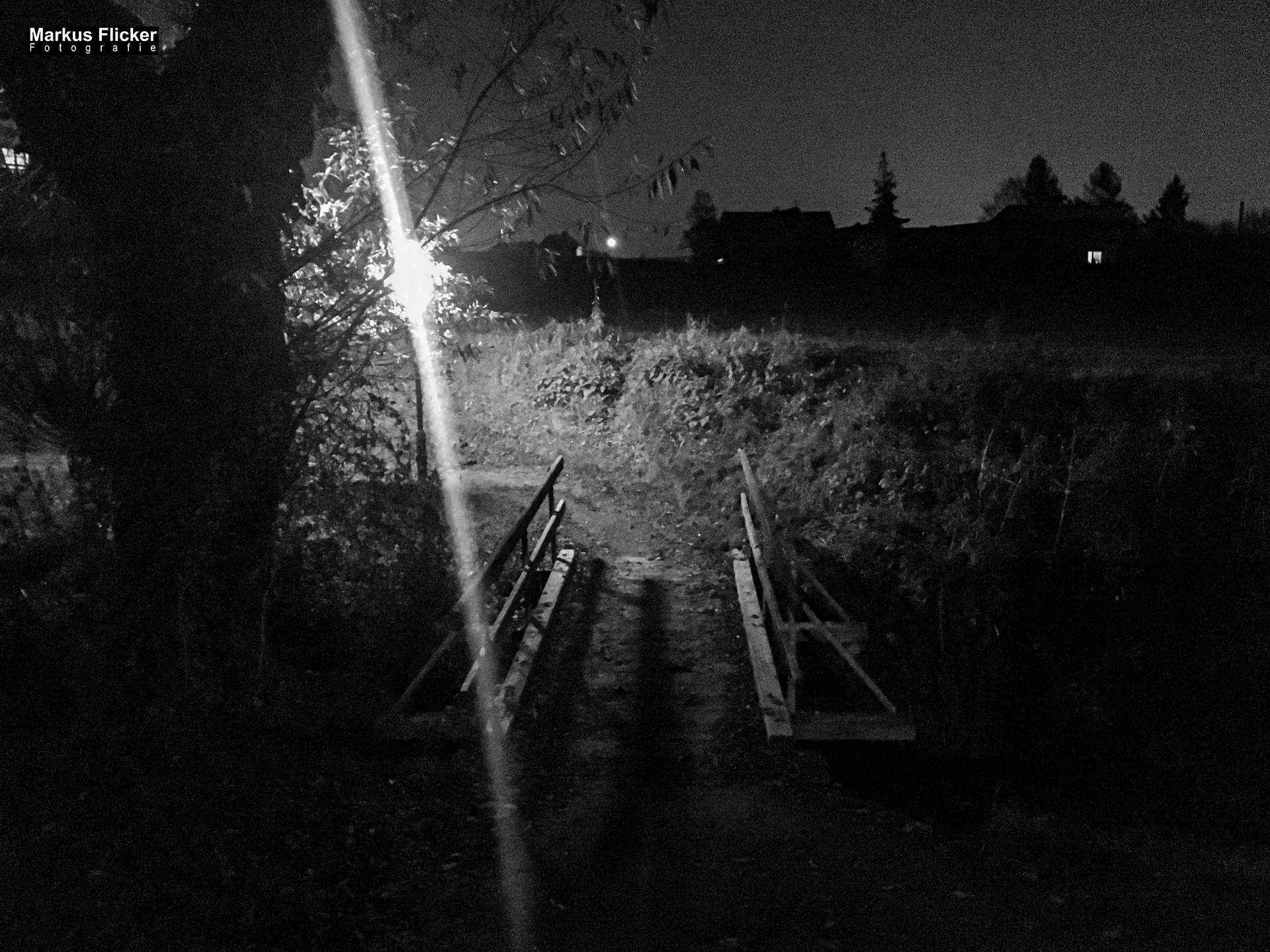 Herbst Fotospaziergang bei Nebel im Wald Raabklamm Raab Steiermark