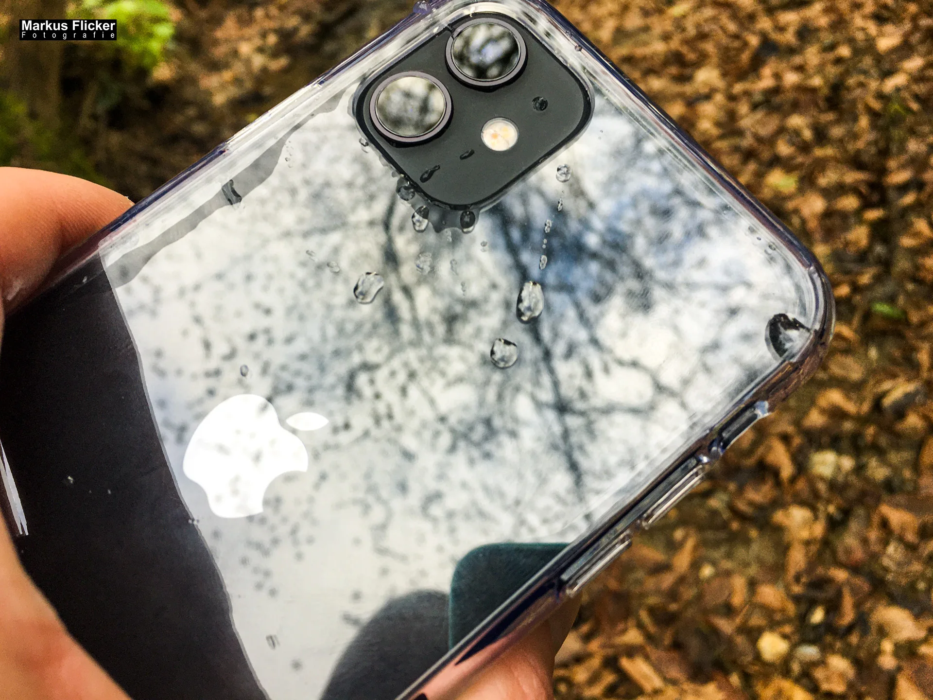 Herbst Fotospaziergang an der Raab in der Steiermark im Wald Teil 2 inkl. Fototipps. Fotografieren und Filmen mit dem Smartphone: Bessere Fotos und Videos mit dem Handy für Freizeit, Hobby und Business