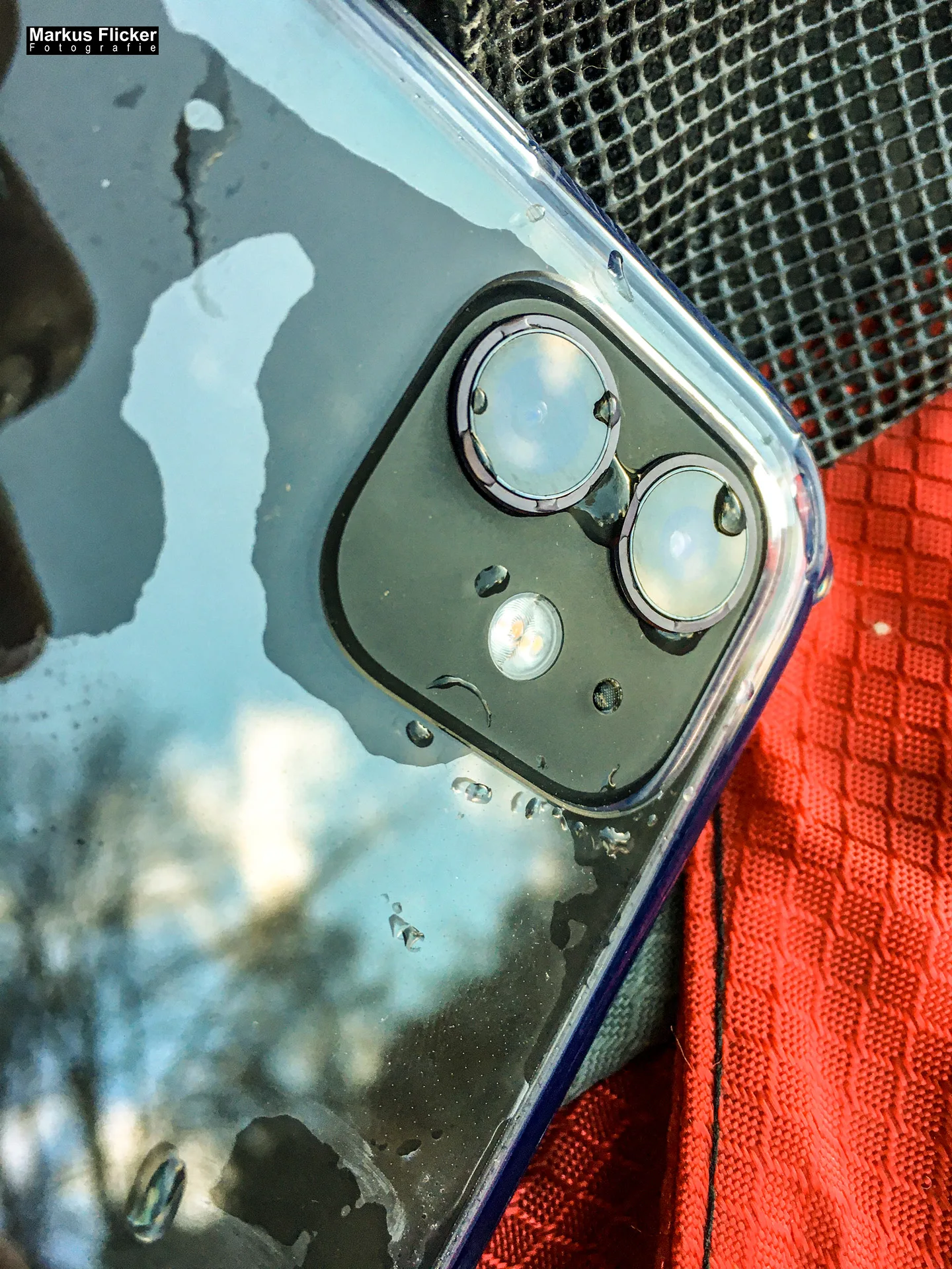 Herbst Fotospaziergang an der Raab in der Steiermark im Wald Teil 2 inkl. Fototipps. Fotografieren und Filmen mit dem Smartphone: Bessere Fotos und Videos mit dem Handy für Freizeit, Hobby und Business