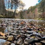 Fotospaziergang im Herbst Teil 2 in der Raabklamm Raab Steiermark