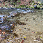 Fotospaziergang im Herbst Teil 2 in der Raabklamm Raab Steiermark