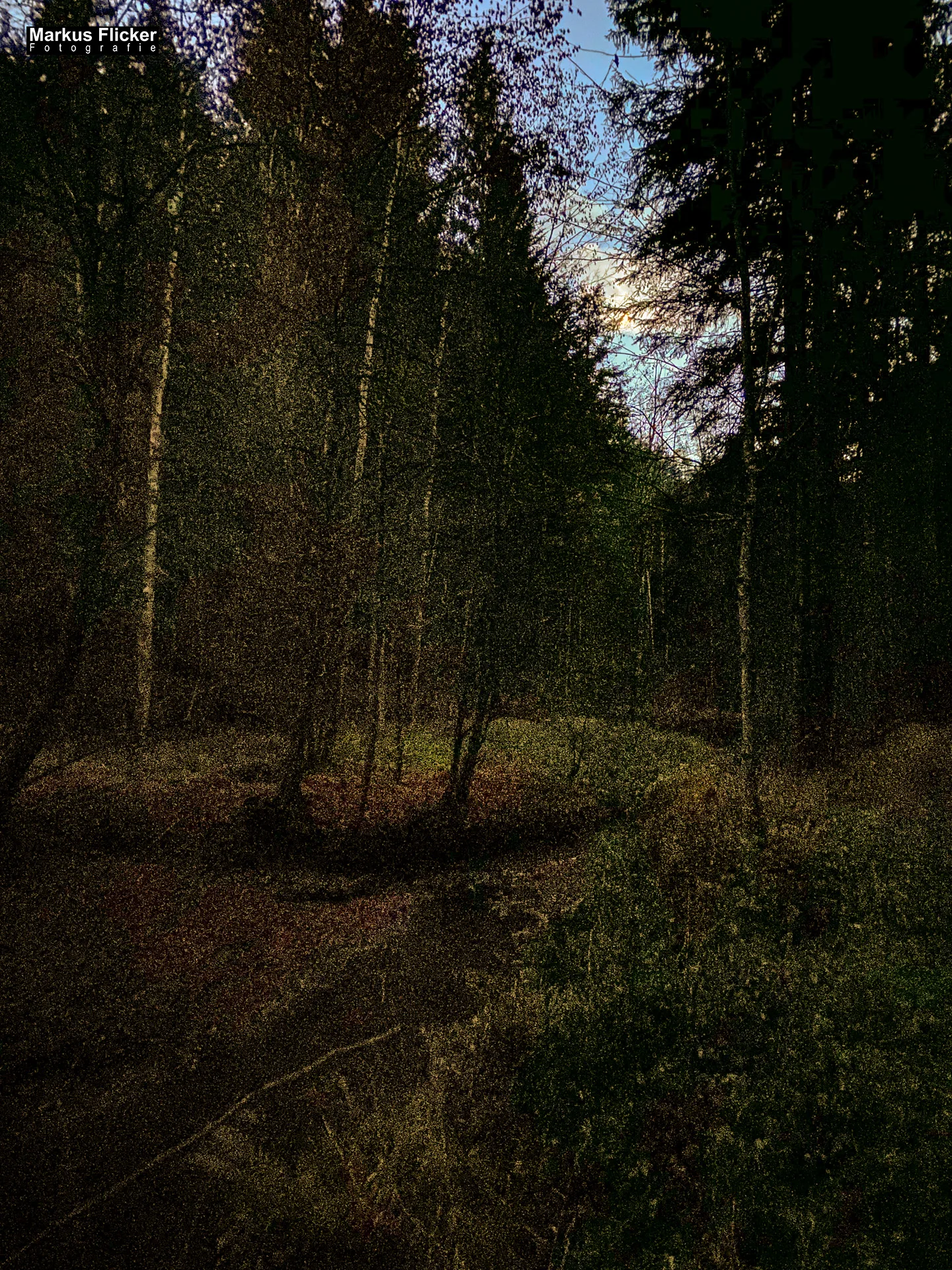 Fotospaziergang im Herbst Teil 2 in der Raabklamm