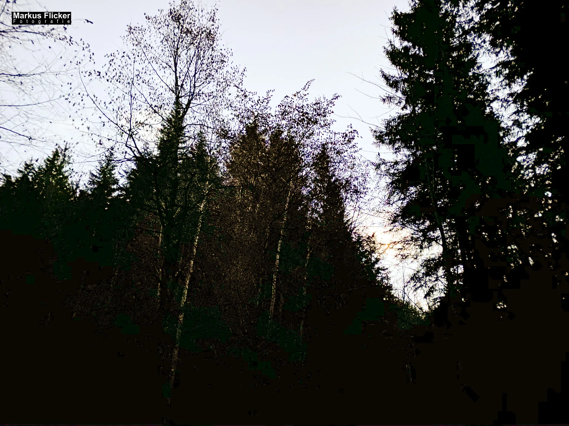 Fotospaziergang im Herbst Teil 2 in der Raabklamm