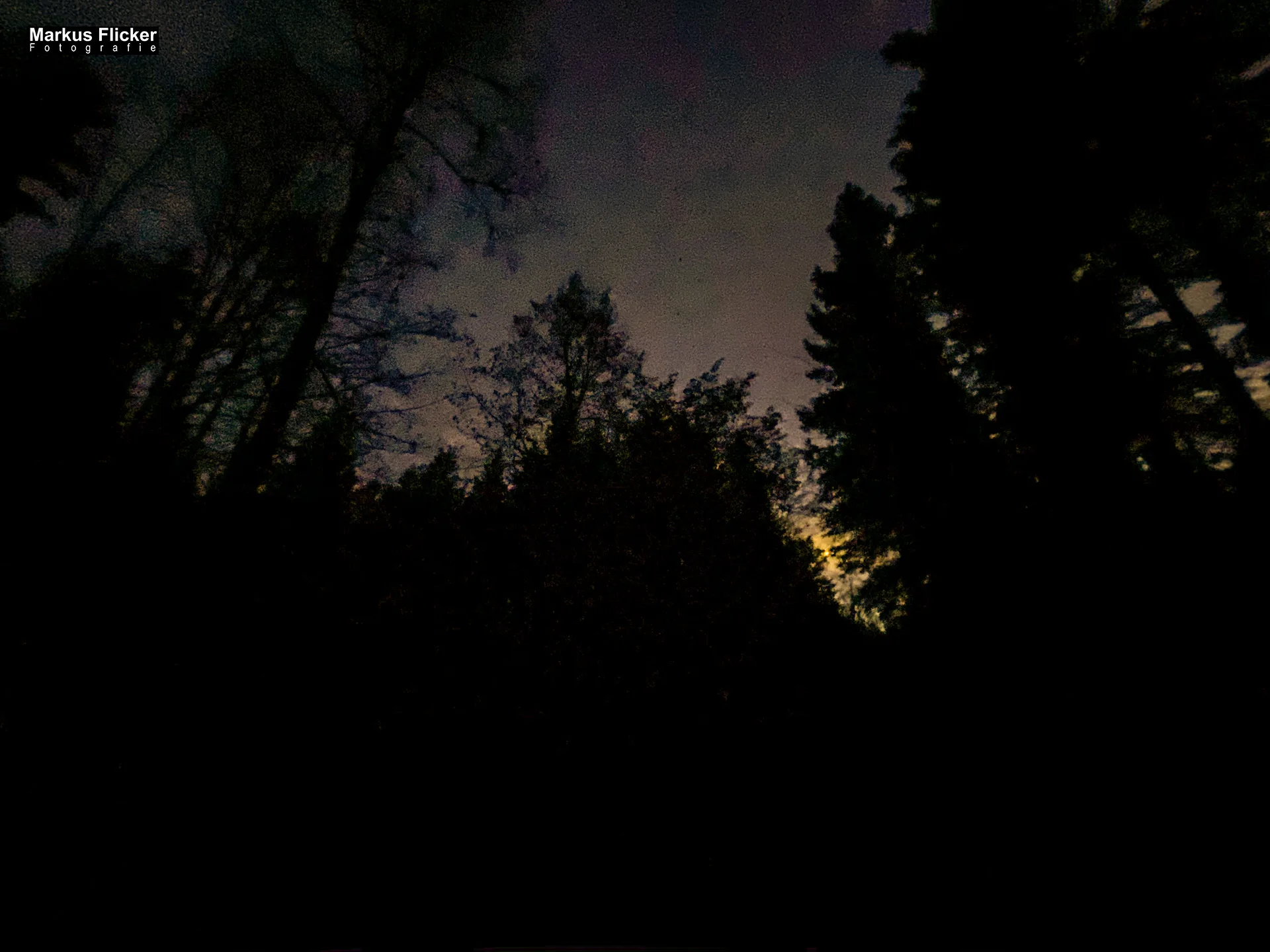 Fotospaziergang im Herbst Teil 2 in der Raabklamm