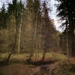 Fotospaziergang im Herbst Teil 2 in der Raabklamm