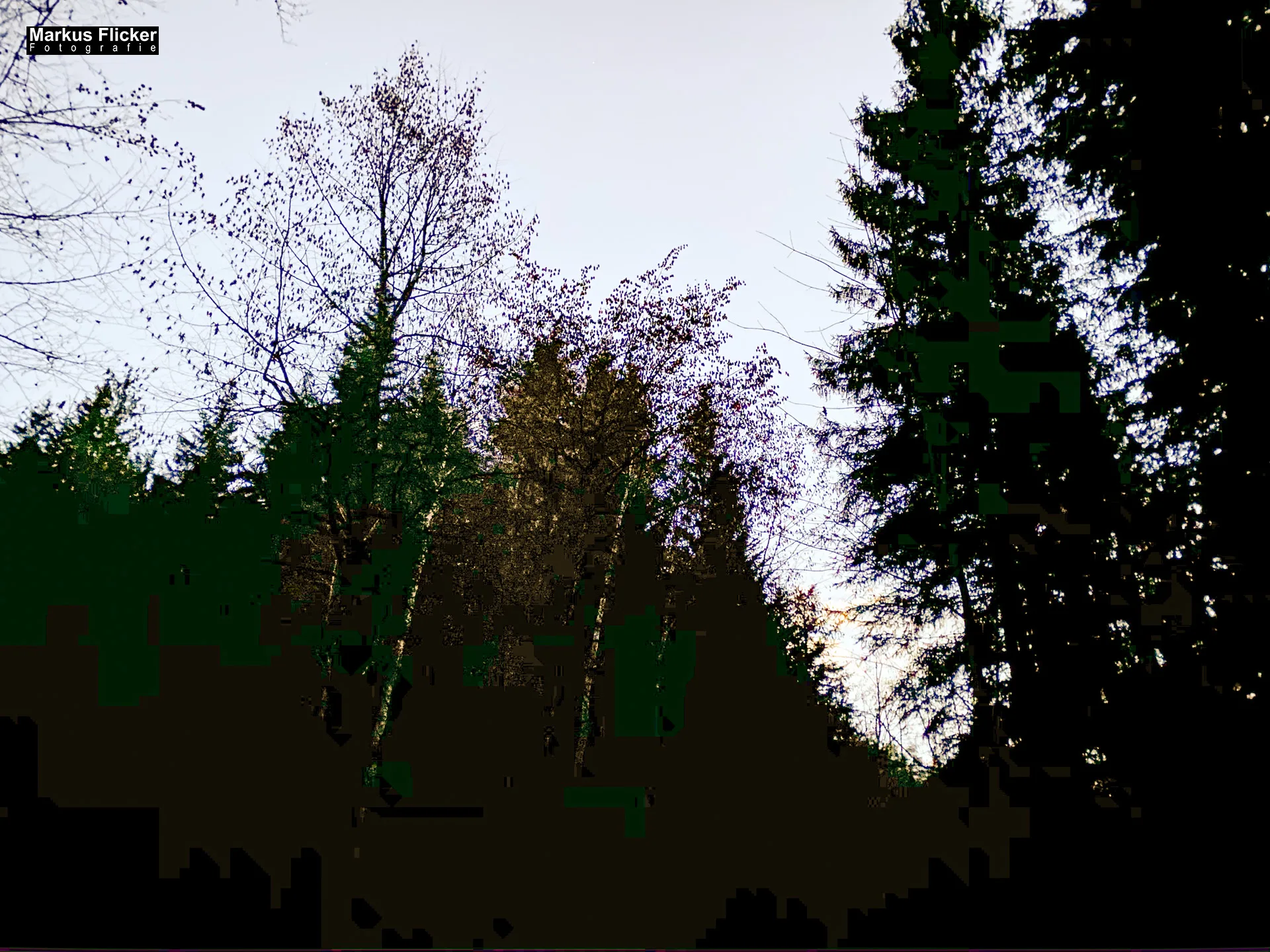 Fotospaziergang im Herbst Teil 2 in der Raabklamm