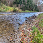 Fotospaziergang im Herbst Teil 2 in der Raabklamm