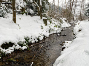 Fotografieren und Filmen bei Schnee im Wald mit dem Smartphone Fotografieren und Filmen mit dem Smartphone: Bessere Fotos und Videos mit dem Handy für Freizeit, Hobby und Business