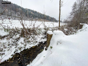 Fotografieren bei Schnee im Wald