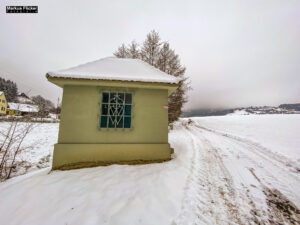 Fotografieren bei Schnee im Wald