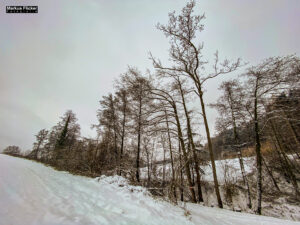 Fotografieren bei Schnee im Wald