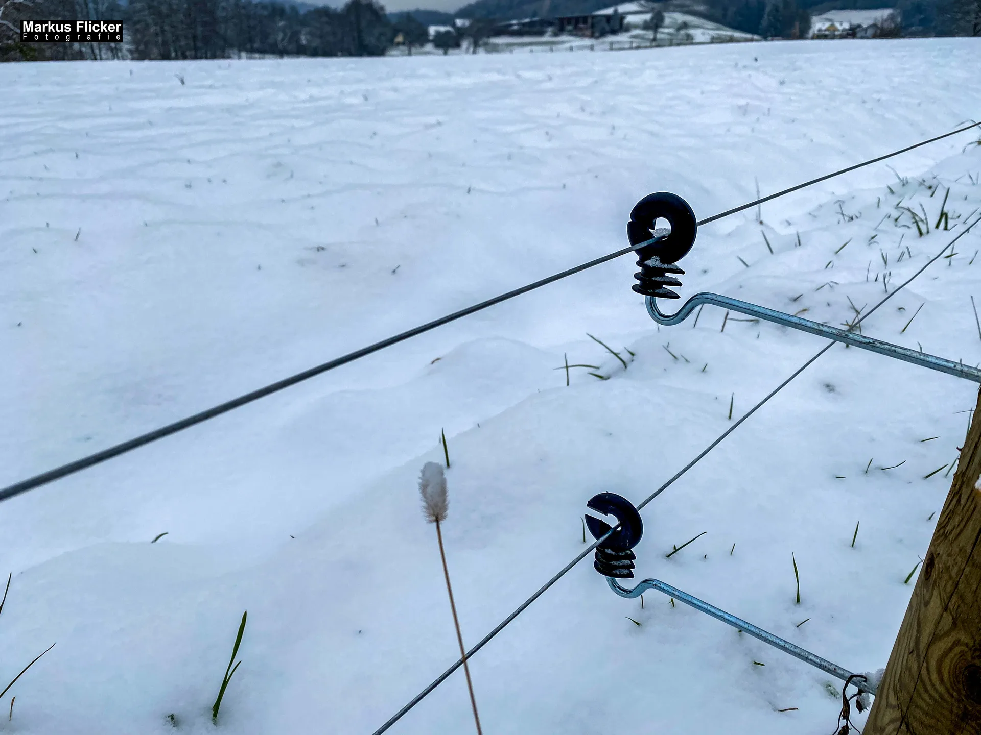 Fotografieren bei Schnee im Wald