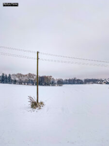 Fotografieren bei Schnee im Wald