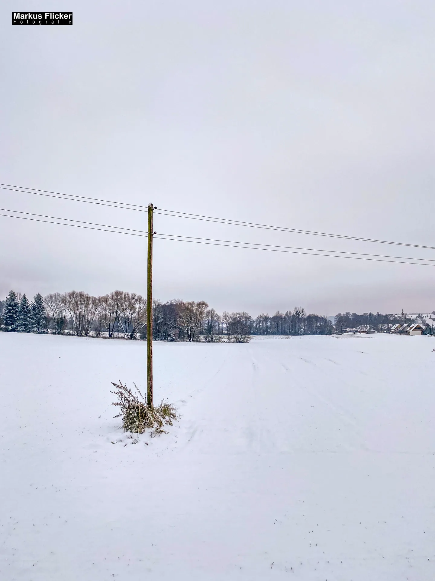 Fotografieren bei Schnee im Wald