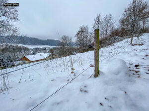 Fotografieren bei Schnee im Wald