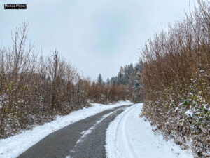 Fotografieren bei Schnee im Wald