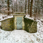 Fotografieren bei Schnee im Wald