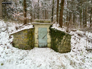 Fotografieren bei Schnee im Wald