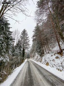 Fotografieren bei Schnee im Wald