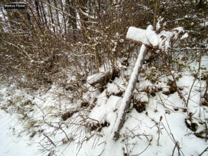 Fotografieren und Filmen bei Schnee im Wald mit dem Smartphone