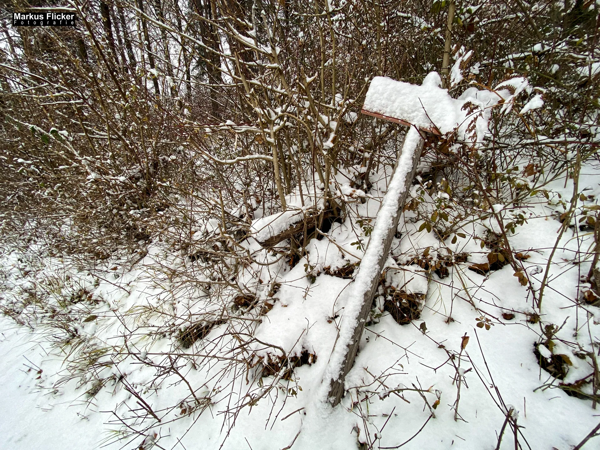 Fotografieren und Filmen bei Schnee im Wald mit dem Smartphone