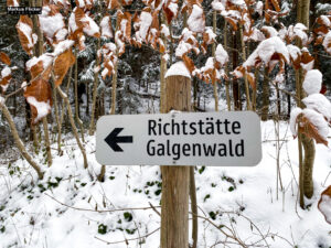 Fotografieren bei Schnee im Wald