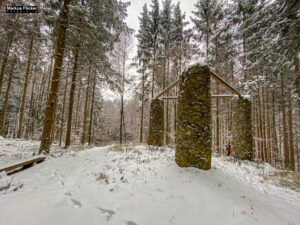 Fotografieren und Filmen bei Schnee im Wald mit dem Smartphone