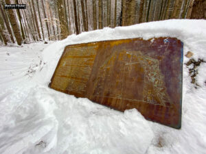 Fotografieren bei Schnee im Wald