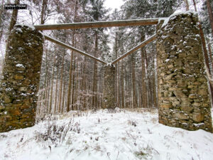 Fotografieren bei Schnee im Wald