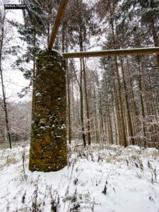 Fotografieren bei Schnee im Wald