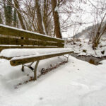 Fotografieren und Filmen bei Schnee im Wald mit dem Smartphone