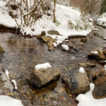 Fotografieren bei Schnee im Wald