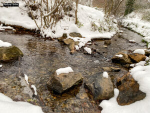 Fotografieren bei Schnee im Wald