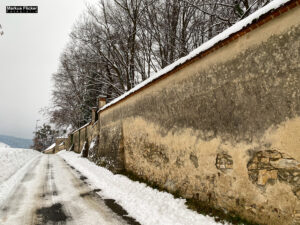 Fotografieren bei Schnee im Wald