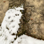 Fotografieren bei Schnee im Wald