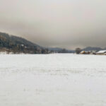 Fotografieren bei Schnee im Wald