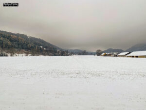 Fotografieren bei Schnee im Wald