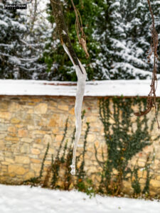 Fotografieren bei Schnee im Wald