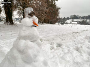 Fotografieren und Filmen bei Schnee im Wald mit dem Smartphone Fotografieren und Filmen mit dem Smartphone: Bessere Fotos und Videos mit dem Handy für Freizeit, Hobby und Business