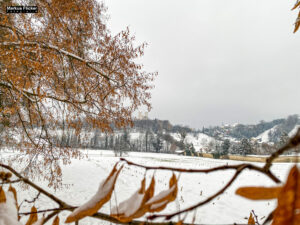 Fotografieren und Filmen bei Schnee im Wald mit dem Smartphone Fotografieren und Filmen mit dem Smartphone: Bessere Fotos und Videos mit dem Handy für Freizeit, Hobby und Business