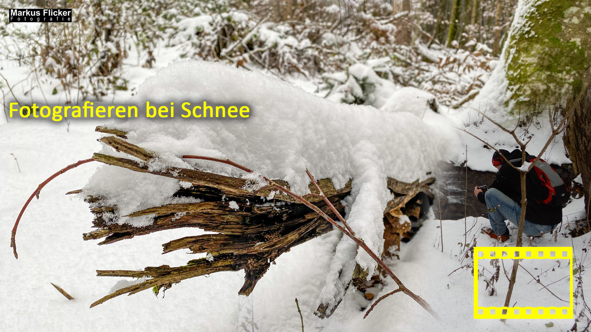 Fotografieren bei Schnee im Wald mit dem Smartphone