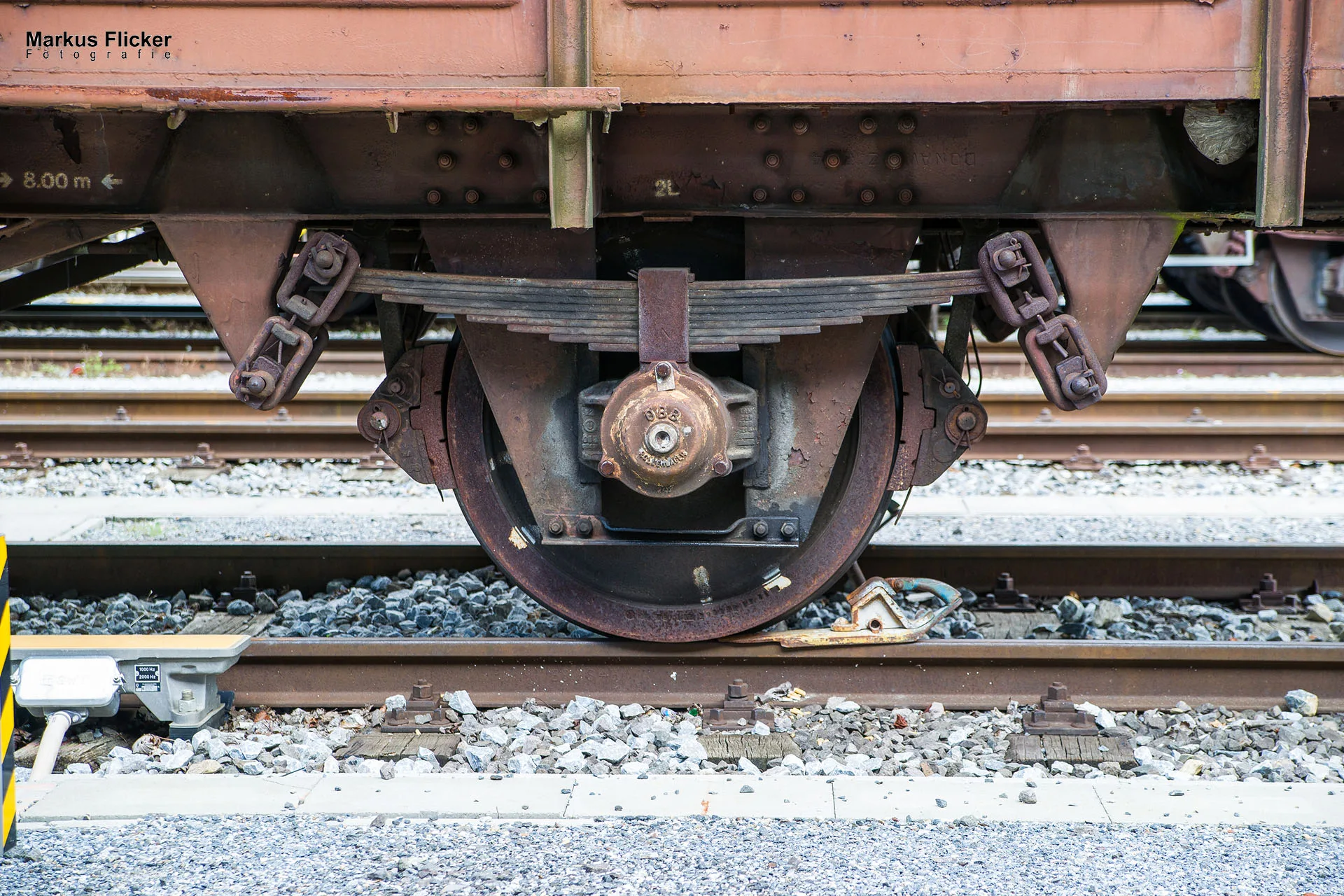Flora Fauna Landscape Street Travel Photography Portfolio Styria Austria Fotografie in Graz