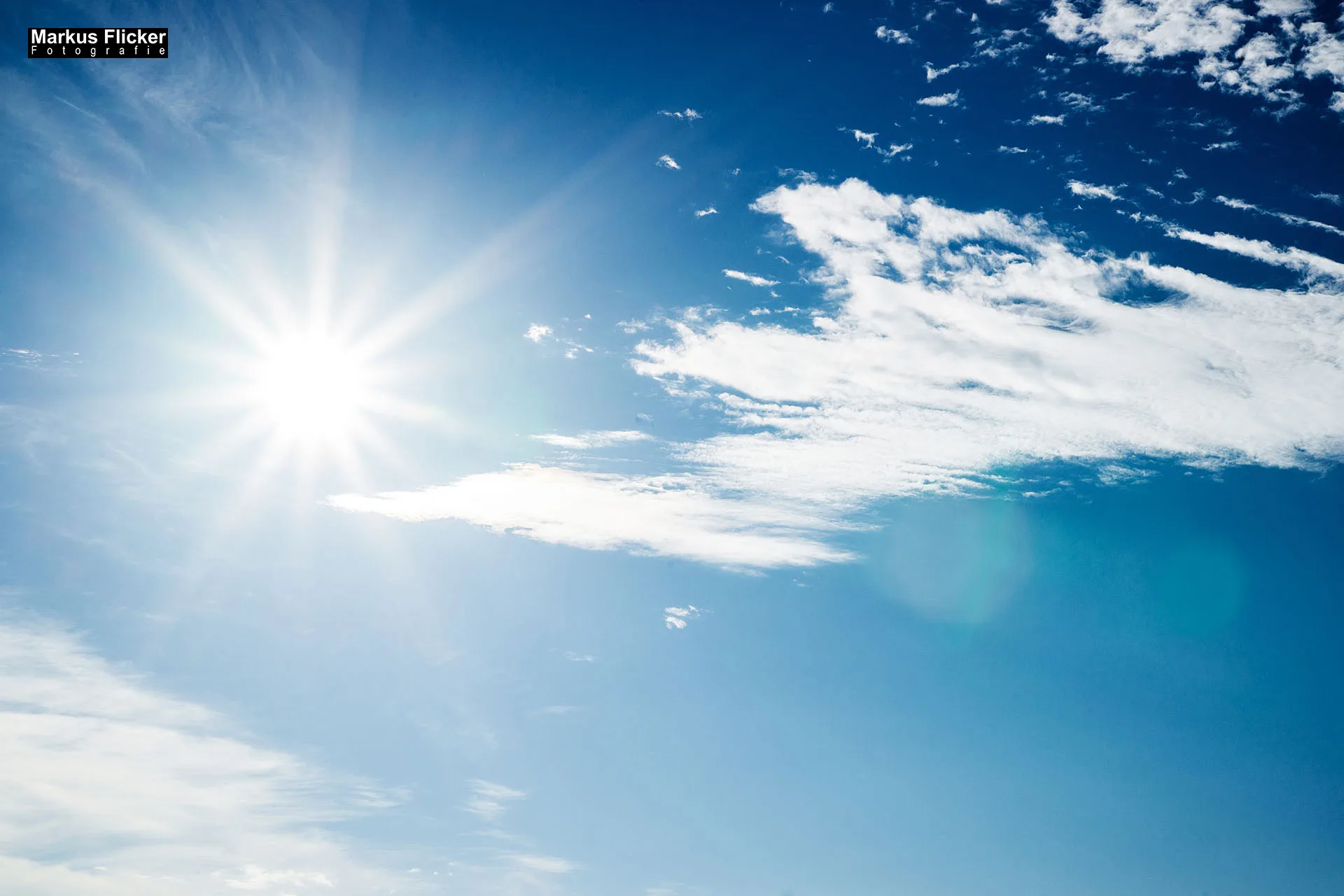 Flora Fauna Landscape Street Travel Photography Portfolio