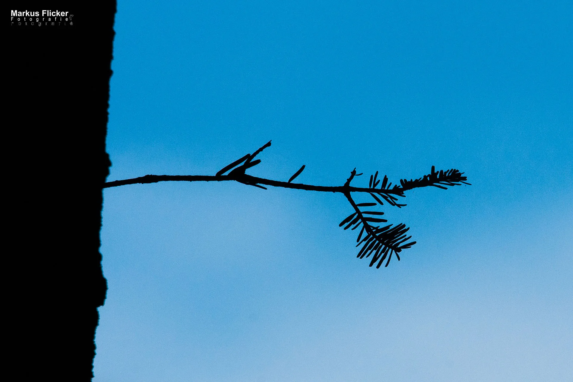 Flora Fauna Landscape Street Travel Photography Portfolio