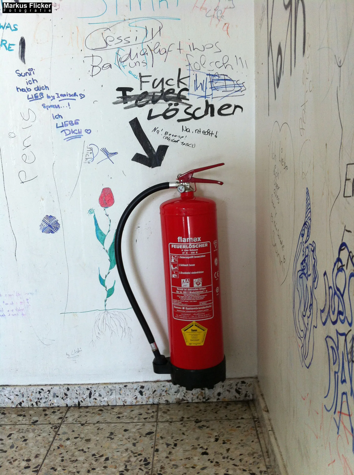 Flora Fauna Landscape Street Travel Photography Portfolio