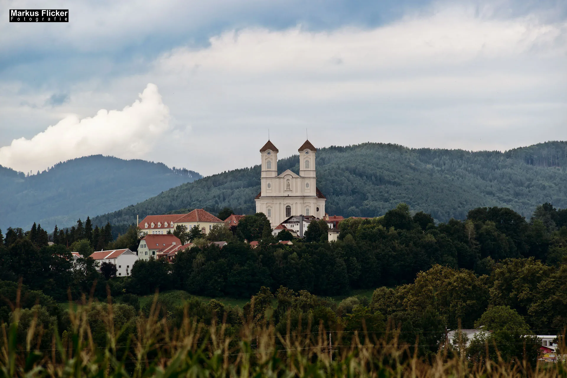 Flora Fauna Landscape Street Travel Photography Portfolio